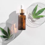 Comparing CBD Oil Extraction Methods: CO₂ vs. Ethanol vs. Olive Oil
