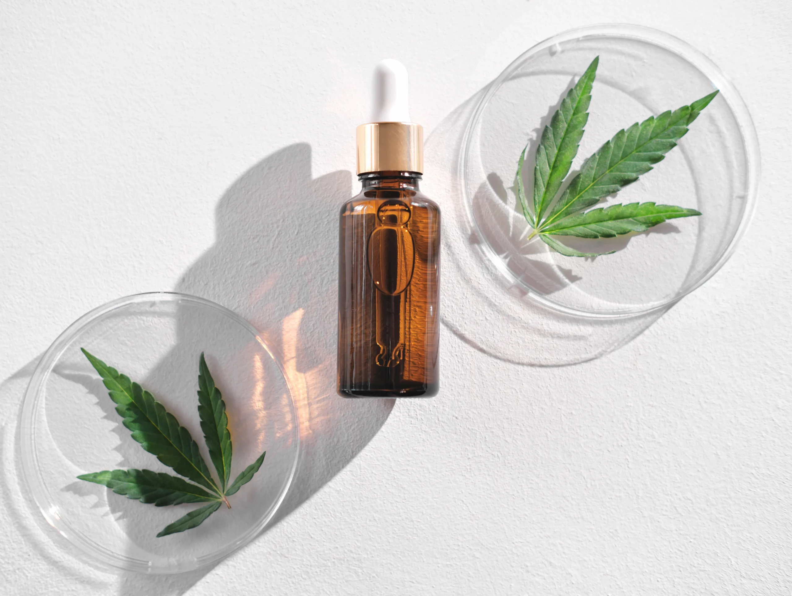 CBD Oil Benefits