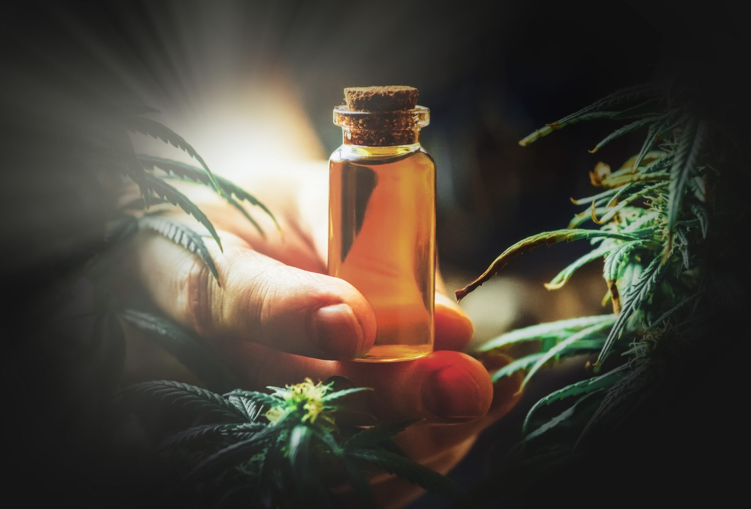 cbd-oil