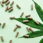 How to Read CBD Capsule Labels: Full-Spectrum, Broad-Spectrum, or Isolate?