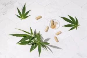 CBD vs. THC