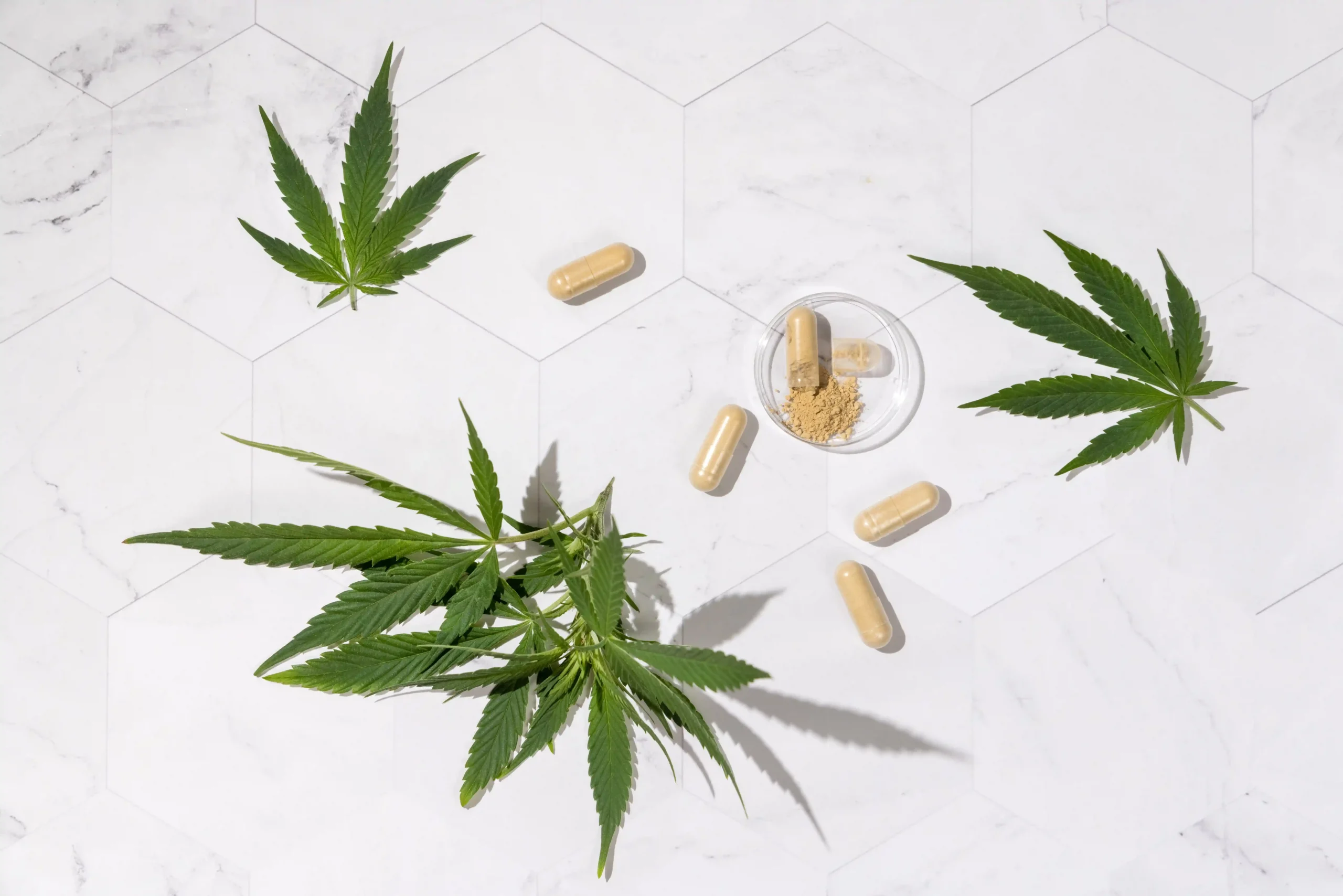 CBD vs. THC