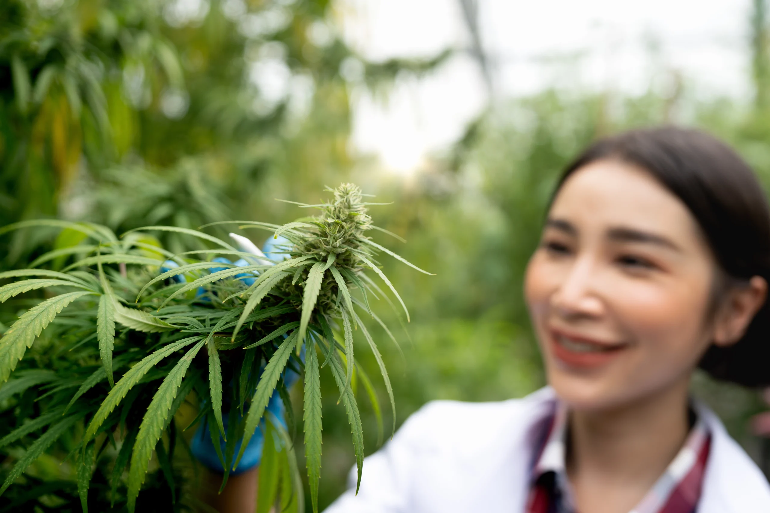 thc and cbd